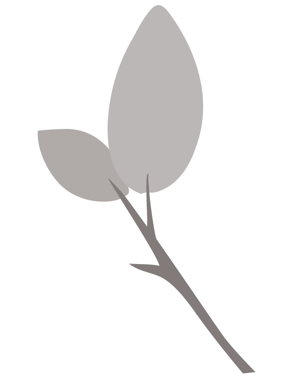 Ines-Braun-Vital-Blatt-2
