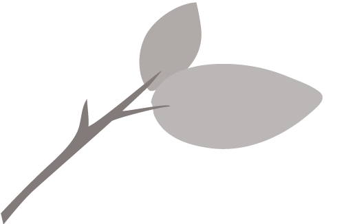 Ines-Braun-Vital-Blatt